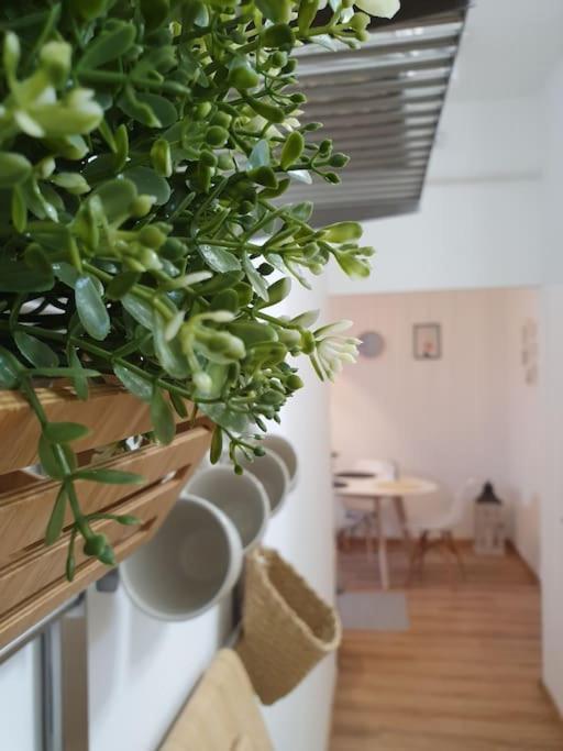 Andrea Apartman Miskolc Belvarosaban Exterior foto